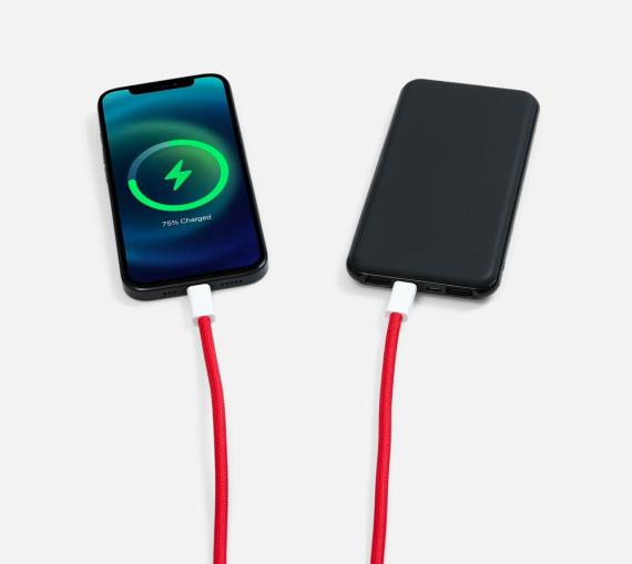 Кабель-ланьярд energyFlex Pro, красный